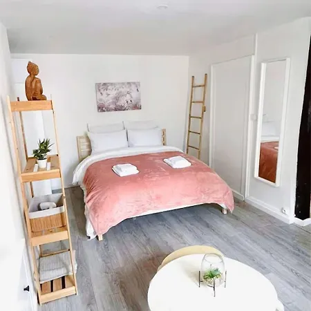 Apartment Le Secret D'augustine, 26m² Hyper Centre *
